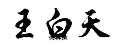 胡問遂王白天行書個性簽名怎么寫