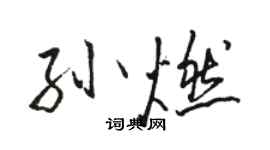 駱恆光孫燃行書個性簽名怎么寫