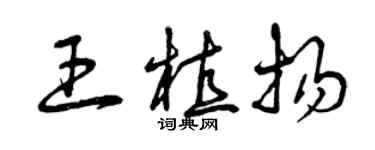 曾慶福王植揚草書個性簽名怎么寫