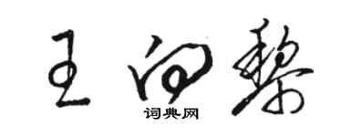 駱恆光王向黎草書個性簽名怎么寫