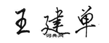 駱恆光王建單行書個性簽名怎么寫