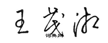 駱恆光王茂湘草書個性簽名怎么寫