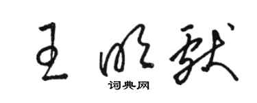 駱恆光王明獻草書個性簽名怎么寫