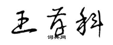 曾慶福王存科草書個性簽名怎么寫