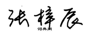 朱錫榮張梓辰草書個性簽名怎么寫
