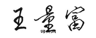 駱恆光王量富行書個性簽名怎么寫