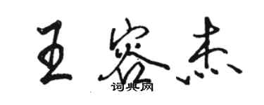 駱恆光王容傑行書個性簽名怎么寫