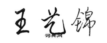 駱恆光王藝錦行書個性簽名怎么寫