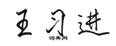 駱恆光王習進行書個性簽名怎么寫
