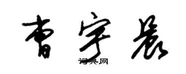 朱錫榮曹宇晨草書個性簽名怎么寫