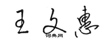 駱恆光王文惠草書個性簽名怎么寫