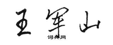 駱恆光王軍山行書個性簽名怎么寫