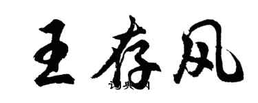 胡問遂王存風行書個性簽名怎么寫