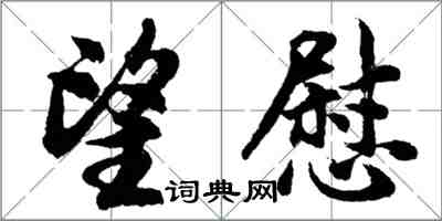 胡問遂望慰行書怎么寫