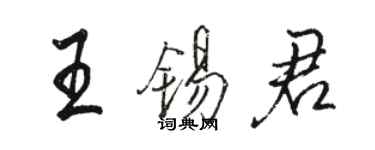 駱恆光王錫君行書個性簽名怎么寫