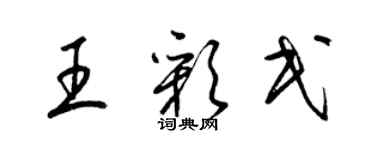 梁錦英王彩民草書個性簽名怎么寫