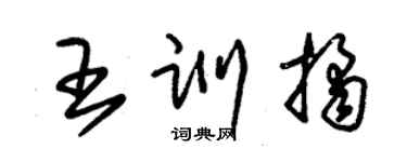 朱錫榮王訓桔草書個性簽名怎么寫