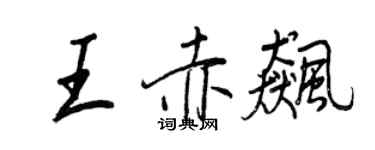 王正良王赤飆行書個性簽名怎么寫