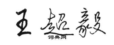 駱恆光王超毅行書個性簽名怎么寫