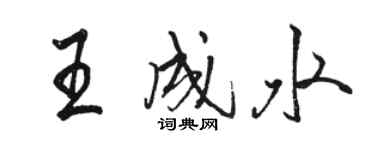 駱恆光王成水行書個性簽名怎么寫