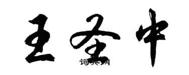 胡問遂王聖中行書個性簽名怎么寫