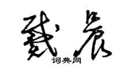 曾慶福戴晨草書個性簽名怎么寫