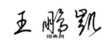 梁錦英王鵬凱草書個性簽名怎么寫