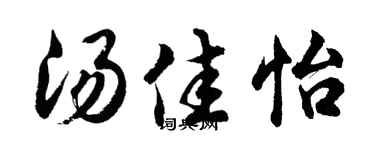 胡問遂湯佳怡行書個性簽名怎么寫