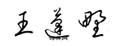 梁錦英王蓬野草書個性簽名怎么寫