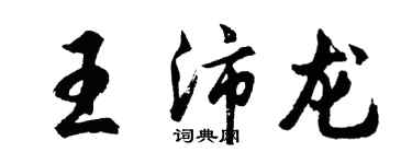胡問遂王沛龍行書個性簽名怎么寫