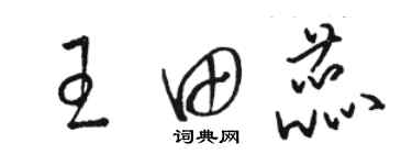 駱恆光王田蕊草書個性簽名怎么寫