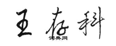 駱恆光王存科行書個性簽名怎么寫