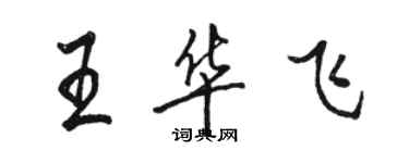 駱恆光王華飛行書個性簽名怎么寫