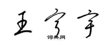 梁錦英王寧宇草書個性簽名怎么寫