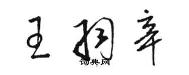 駱恆光王羽辛草書個性簽名怎么寫