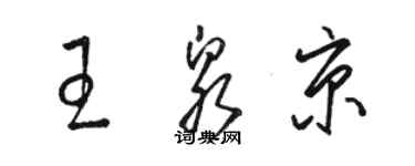 駱恆光王泉京草書個性簽名怎么寫