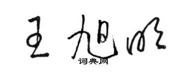 駱恆光王旭明草書個性簽名怎么寫
