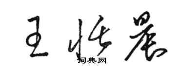 駱恆光王恬晨草書個性簽名怎么寫