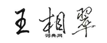 駱恆光王相翠行書個性簽名怎么寫