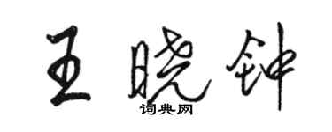 駱恆光王曉鐘行書個性簽名怎么寫