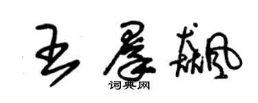 朱錫榮王群飈草書個性簽名怎么寫