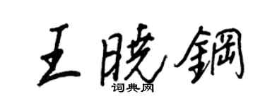 王正良王曉鋼行書個性簽名怎么寫
