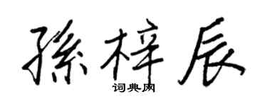 王正良孫梓辰行書個性簽名怎么寫
