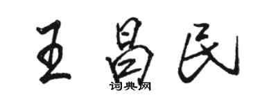 駱恆光王昌民行書個性簽名怎么寫