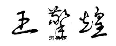 曾慶福王擎煌草書個性簽名怎么寫