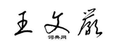 梁錦英王文嚴草書個性簽名怎么寫