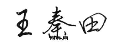 駱恆光王秦田行書個性簽名怎么寫