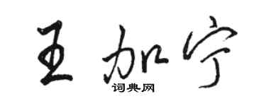 駱恆光王加寧行書個性簽名怎么寫