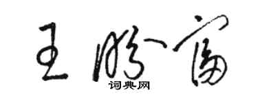 駱恆光王盼富草書個性簽名怎么寫