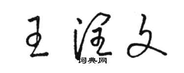 駱恆光王潤文草書個性簽名怎么寫